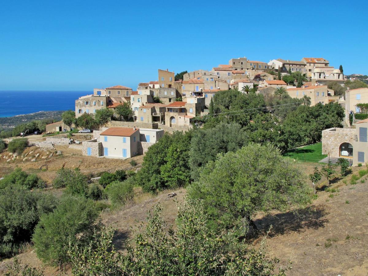 Holiday Home Tramariccia-2 By Interhome Καλβί Εξωτερικό φωτογραφία